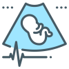 fetal